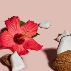 Coconut & Hibiscus Hand & Body Scrub -Cheap Beaunisa Store 2284979 alt04