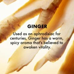 Origins Ginger Souffle Whipped Body Cream -Cheap Beaunisa Store 2307129cm alt03