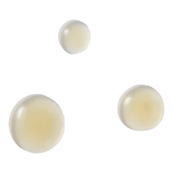 Gradual Tan Face Drops