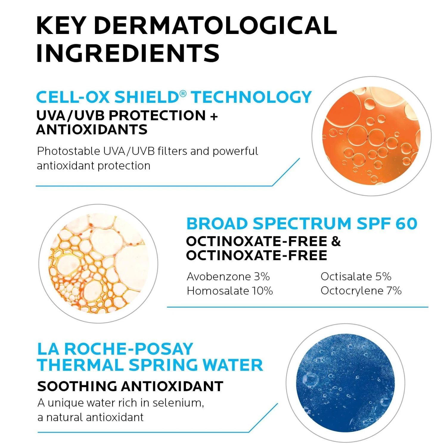 LA ROCHE-POSAY Anthelios Melt-in Milk Body & Face Sunscreen Lotion SPF 100 5 LA ROCHE-POSAY Anthelios Melt-in Milk Body & Face Sunscreen Lotion SPF 100 - Image 5