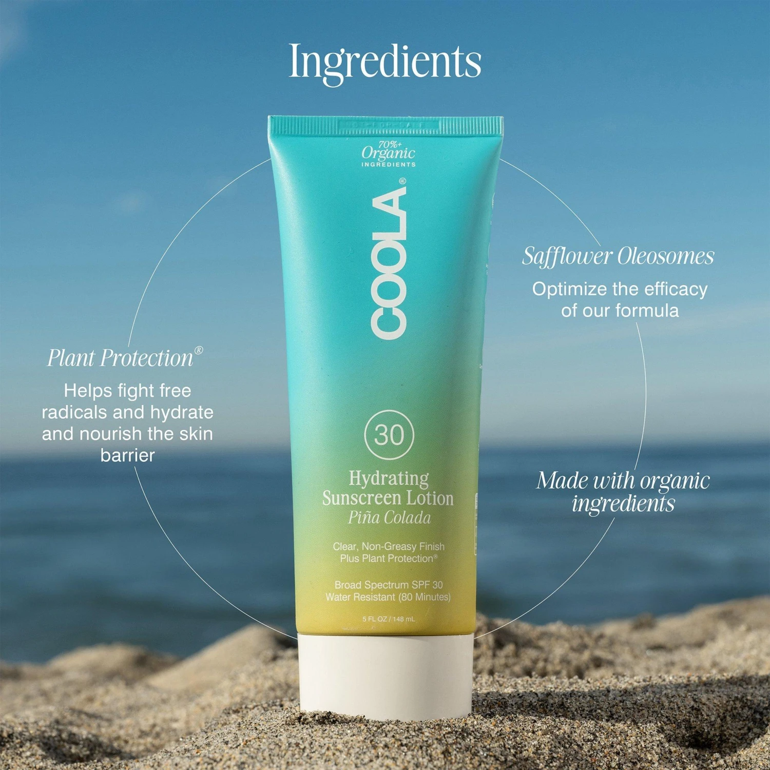 Coola Classic Body Organic Sunscreen Lotion SPF 30 - Piña Colada 6 Coola Classic Body Organic Sunscreen Lotion SPF 30 - Piña Colada - Image 6