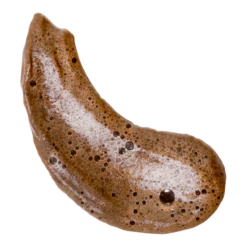 Sunny Honey Bali Bronzing Foam -Cheap Beaunisa Store 2563644 sm