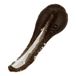 Too Tan To Give A Damn 1 Hour Self Tan Mousse