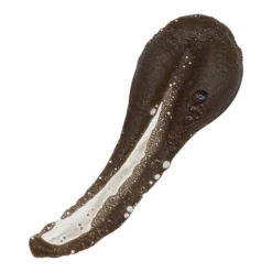 No Sun Required Skin Rejuvenating Tanning Treatment