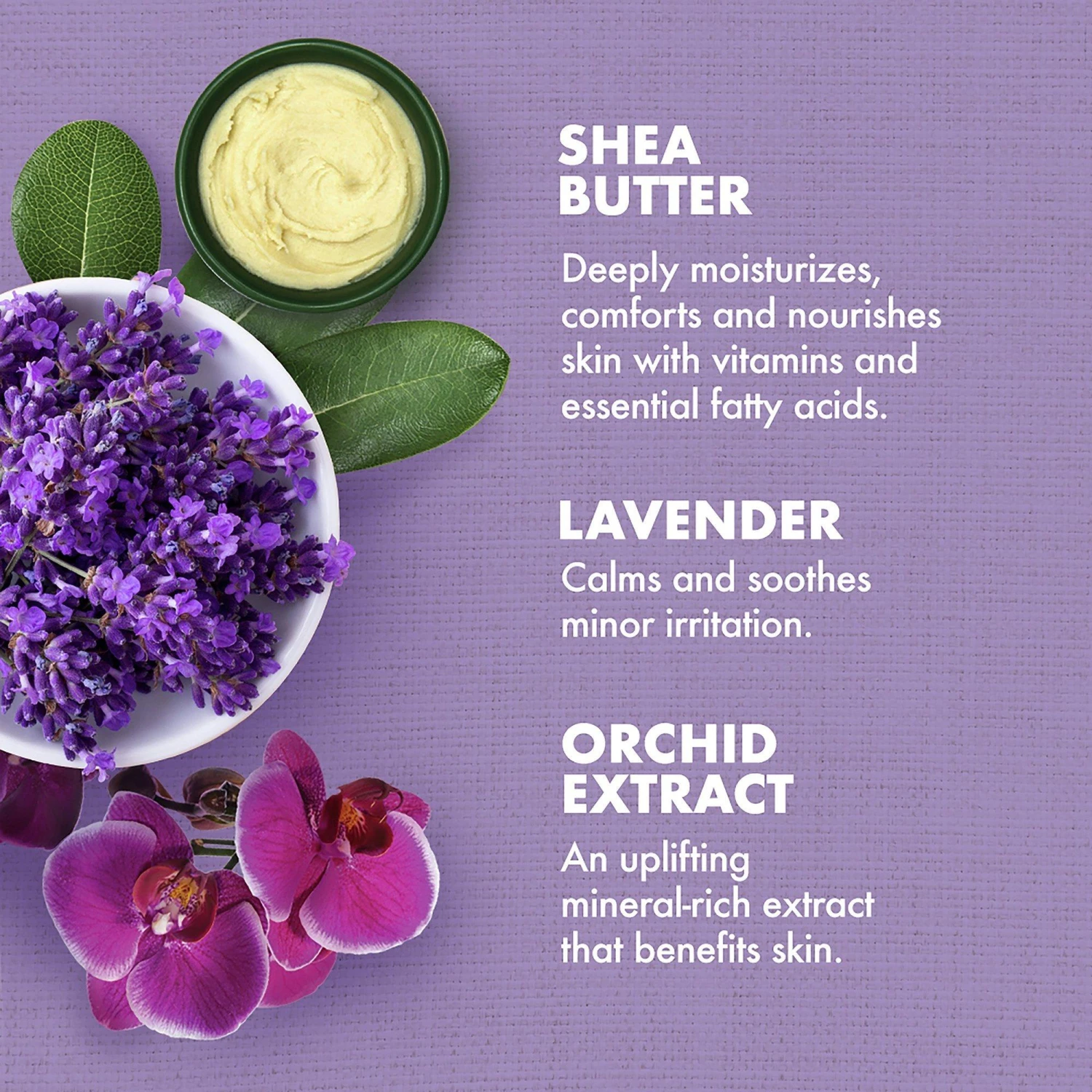 Lavender & Wild Orchid Calming Bath, Body & Massage Oil 1 Lavender & Wild Orchid Calming Bath, Body & Massage Oil