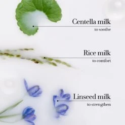 Fresh Milk Hand Cream -Cheap Beaunisa Store 2594888cm alt02