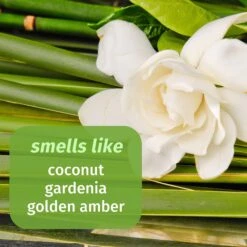 Limited Edition White Gardenia & Coconut Palm Herbal Body Moisturizer -Cheap Beaunisa Store 2599214 alt02