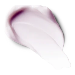 Limited Edition Vanilla Plum Herbal Body Moisturizer