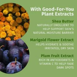 Limited Edition Vanilla Plum Herbal Body Moisturizer -Cheap Beaunisa Store 2599217 alt03