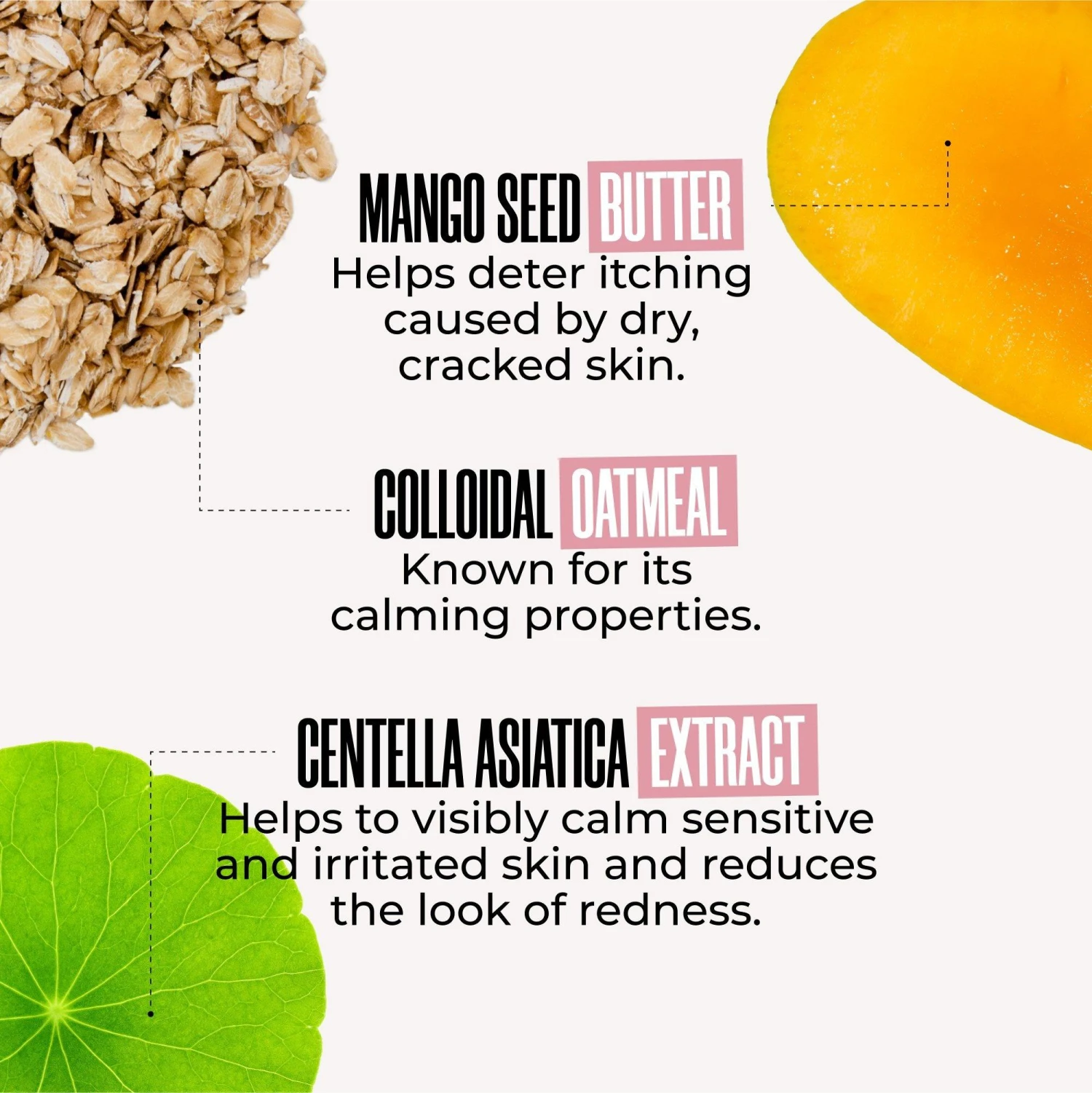 GET-SHOWY Body Crème Fraîche 3 GET-SHOWY Body Crème Fraîche - Image 3