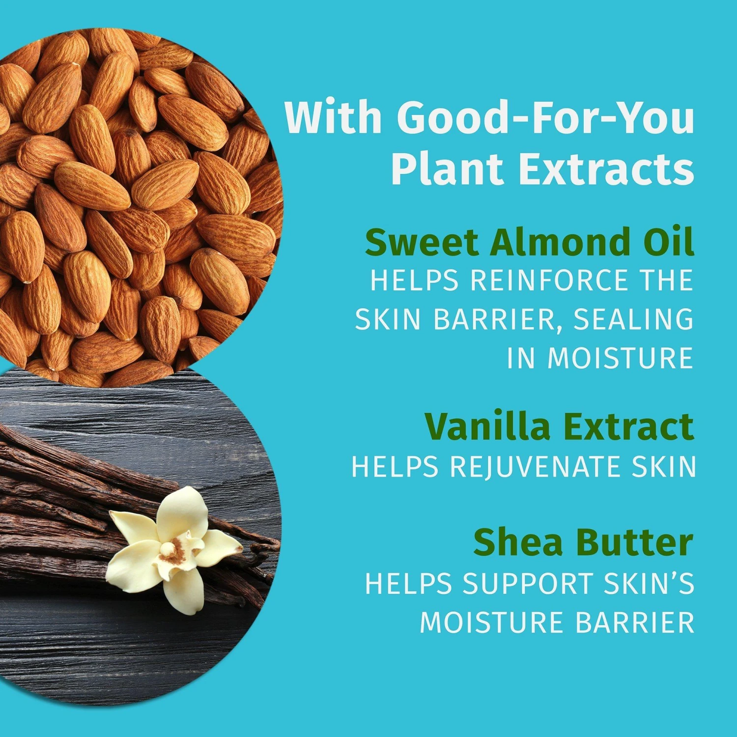 Limited Edition Buttercream Vanilla Cake Herbal Body Moisturizer 6 Limited Edition Buttercream Vanilla Cake Herbal Body Moisturizer - Image 6