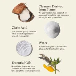 Citrus & Vetiver Natural Body Wash -Cheap Beaunisa Store 2607881 alt02