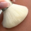 Kabuki Brush
