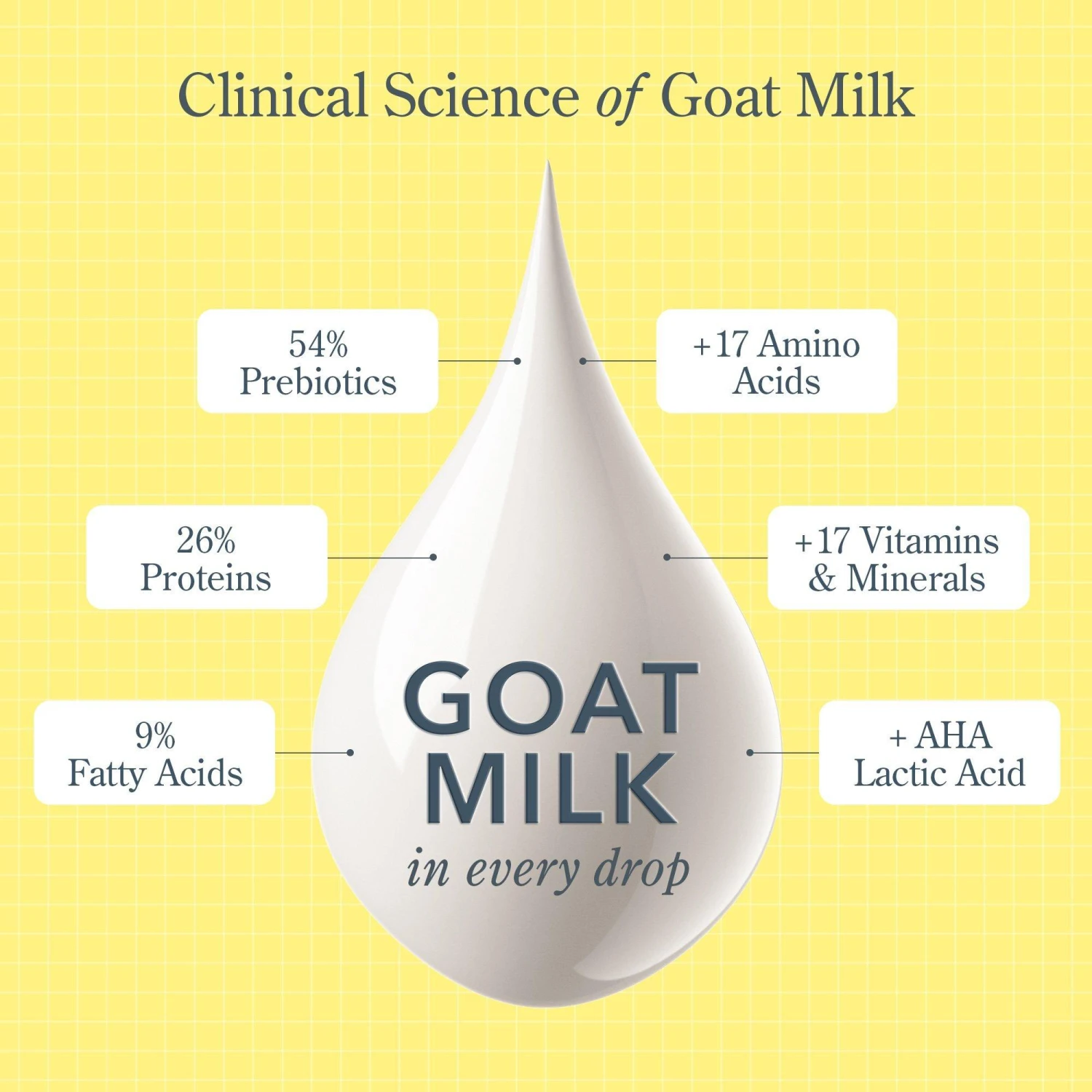 Coconut Cream Hand & Body Wash 7 Coconut Cream Hand & Body Wash - Image 7