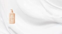 Apricot & Clementine Smoothing Herbal Body Moisturizer 10 Apricot & Clementine Smoothing Herbal Body Moisturizer -Cheap Beaunisa Store 286e8611 7b70 41b5 871f 73601caf565b